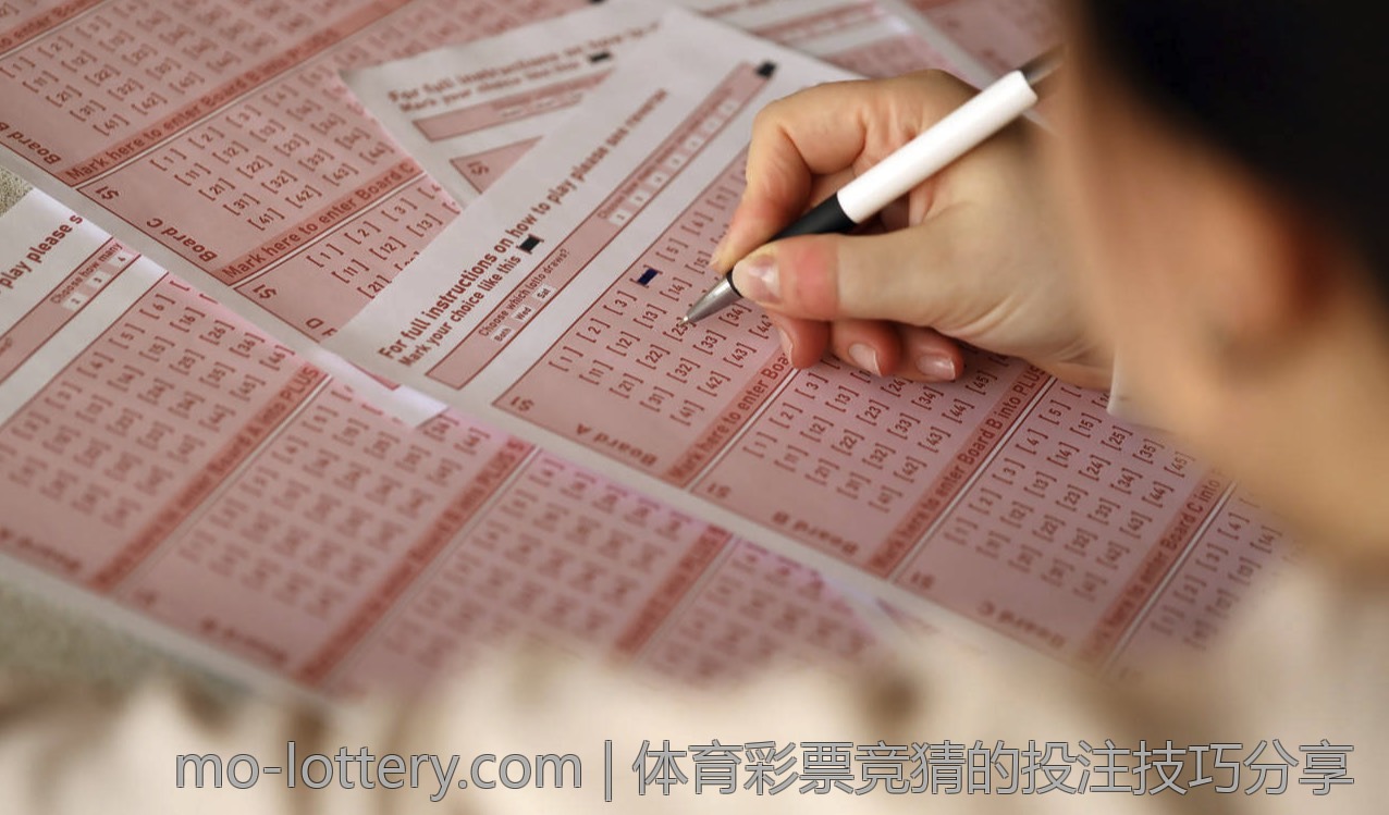 中国体育彩票的年度回顾与总结